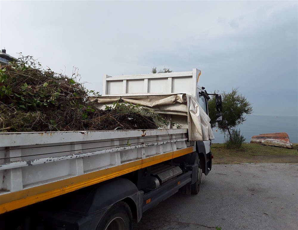 Read more about the article Εκτεταμένη επιχείρηση καθαρισμού στον Κελλάριο Όρμο από τον Δήμο Θεσσαλονίκης