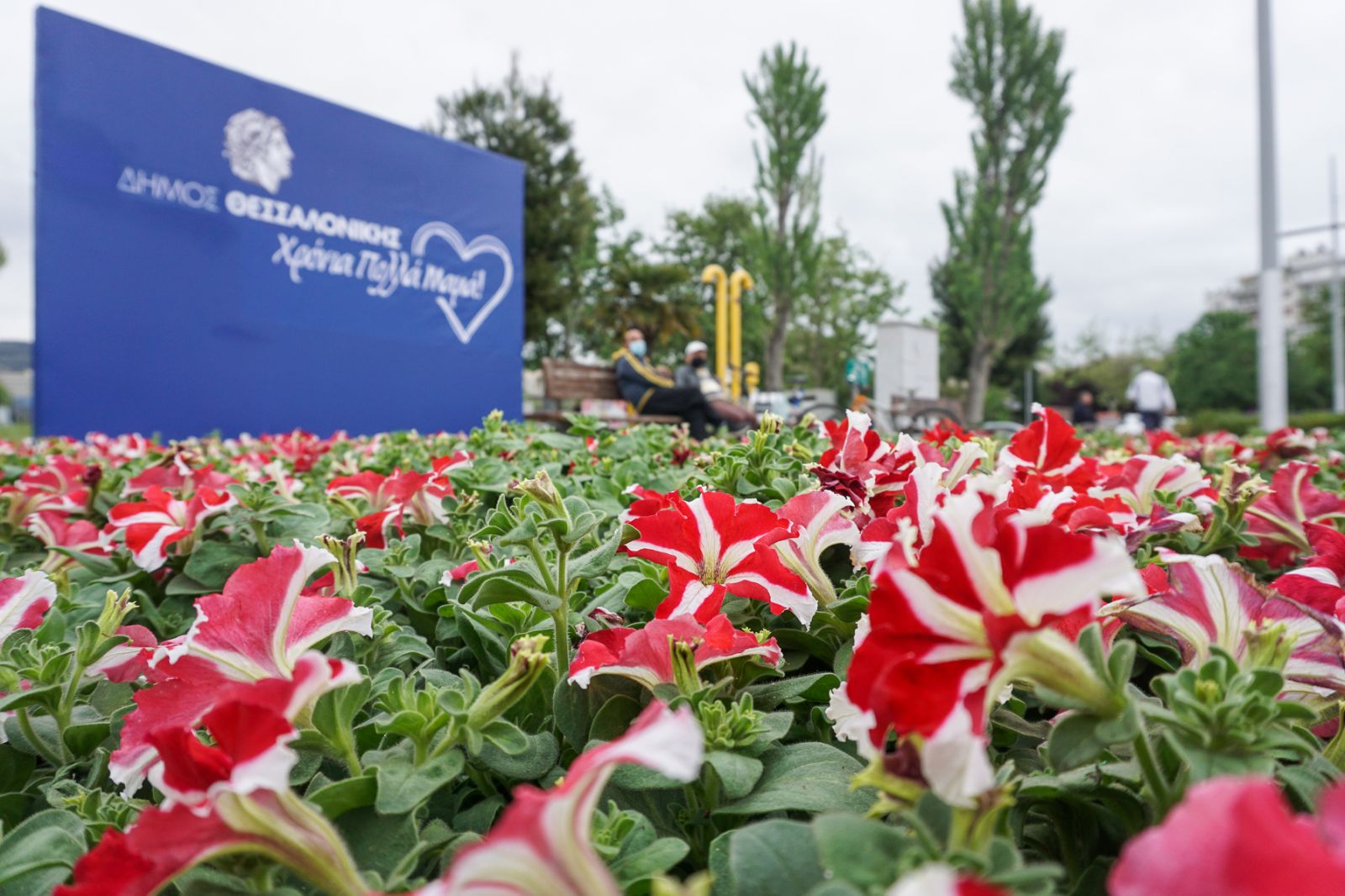 Read more about the article Μια… καρδιά λουλούδια για τις μητέρες από τον Δήμο Θεσσαλονίκης