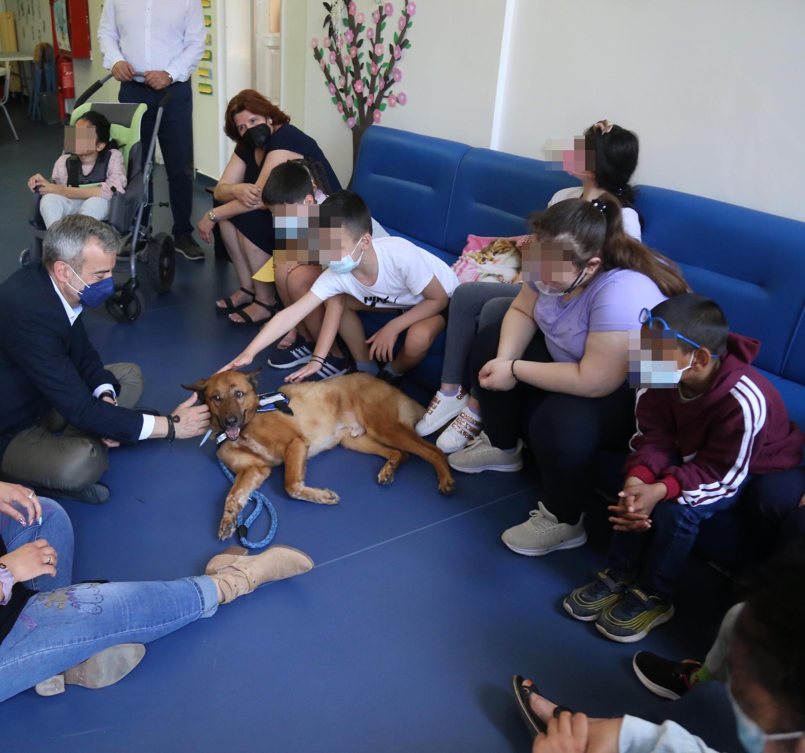 Read more about the article Από το ειδικό δημοτικό της Σχολής Τυφλών η έναρξη του φιλοζωικού προγράμματος στα σχολεία