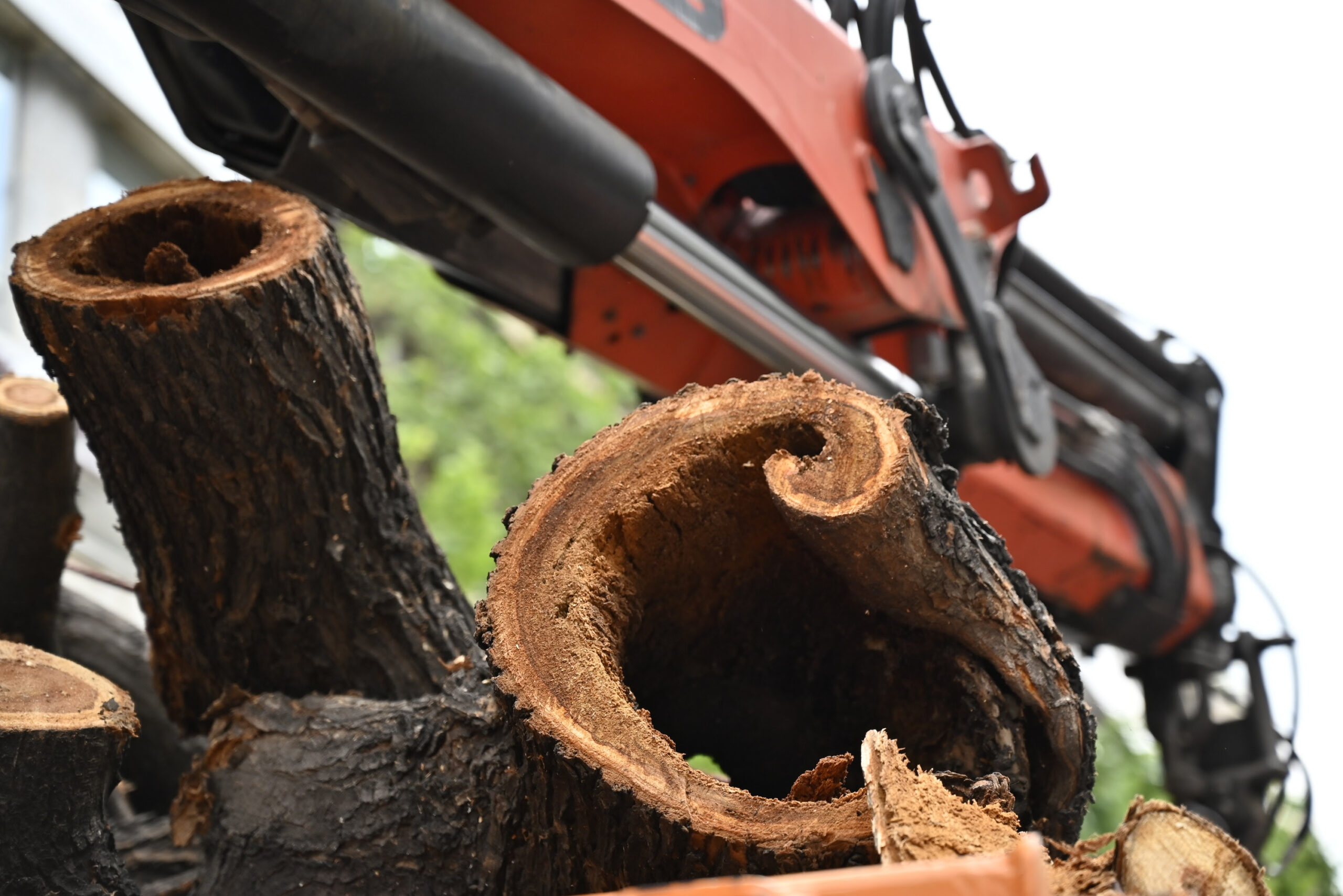 Read more about the article ΔΗΜΟΣ ΘΕΣΣΑΛΟΝΙΚΗΣ ΑΝΑΚΟΙΝΩΣΗ