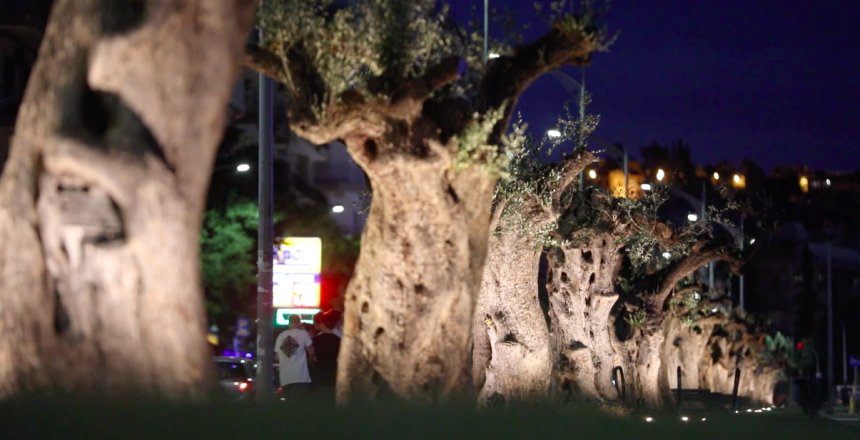 Στιγμιότυπο 2020-06-07, 17.40.41