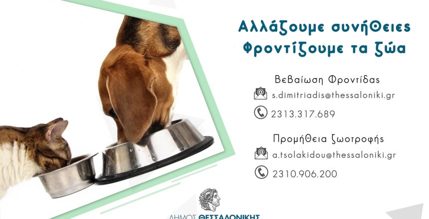 αδεσποτα καρτα